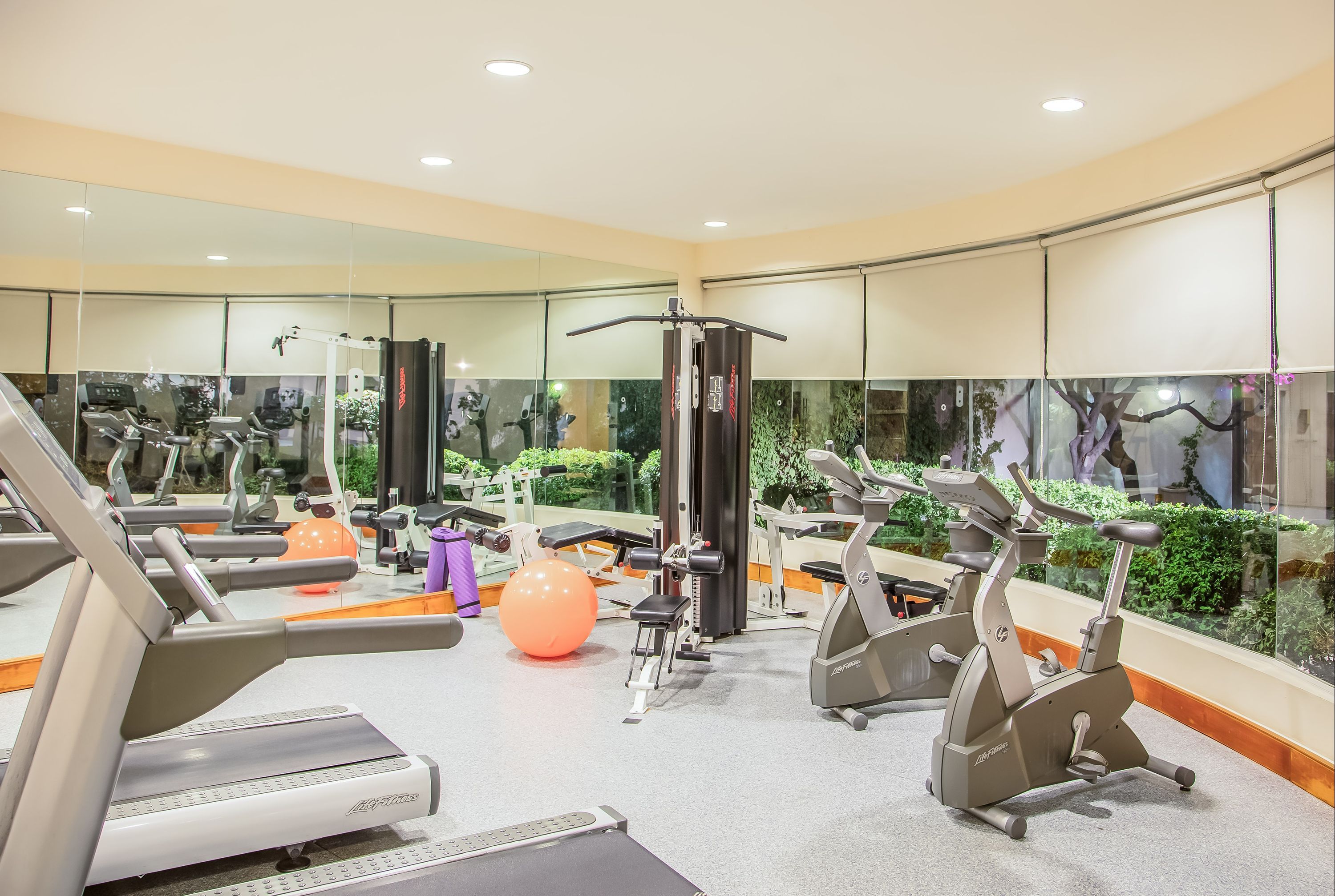 Gym