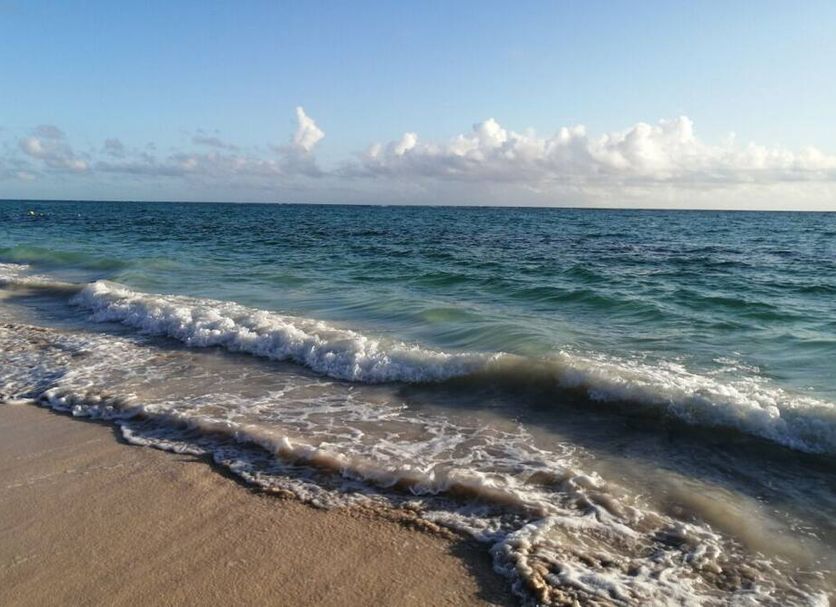 Beach Photo