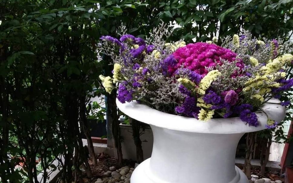 Outdoors view Photo