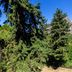Outdoors view