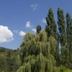 Outdoors view