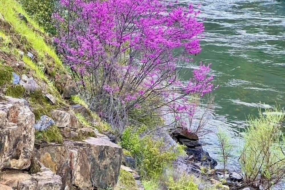 Outdoors view