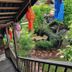Outdoors view
