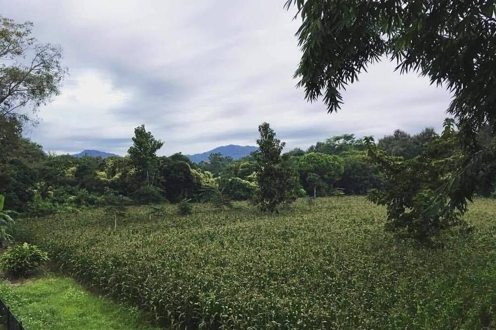 Outdoors view