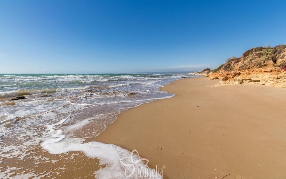 Beach Photo