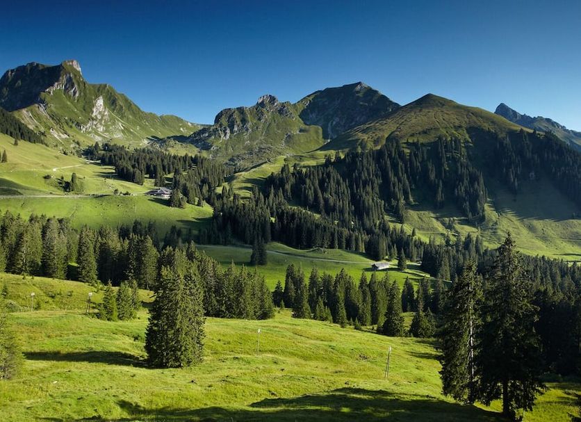 Outdoors view Photo