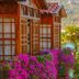 Outdoors view