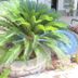 Outdoors view