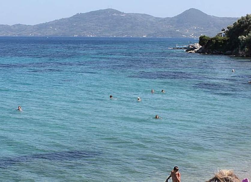 Other Photo