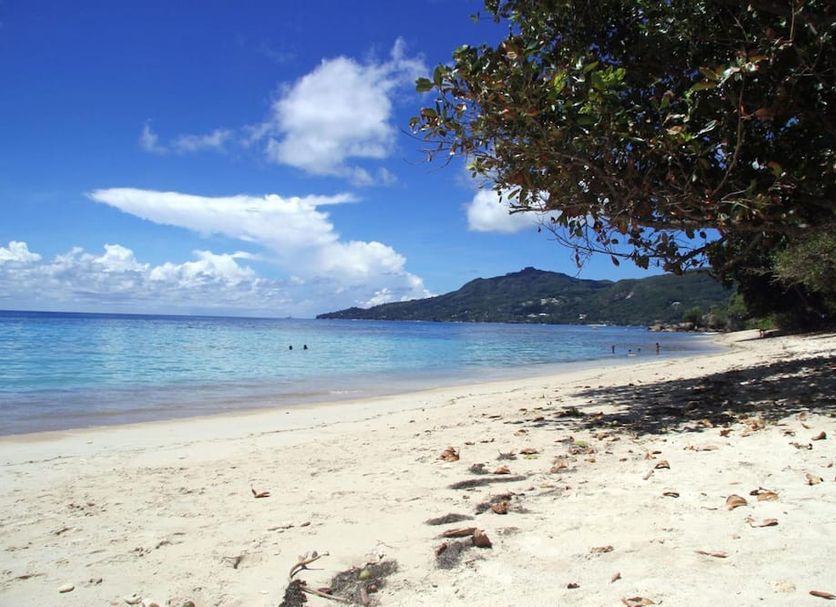 Beach Photo