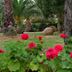 Outdoors view