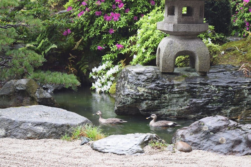 Outdoors view