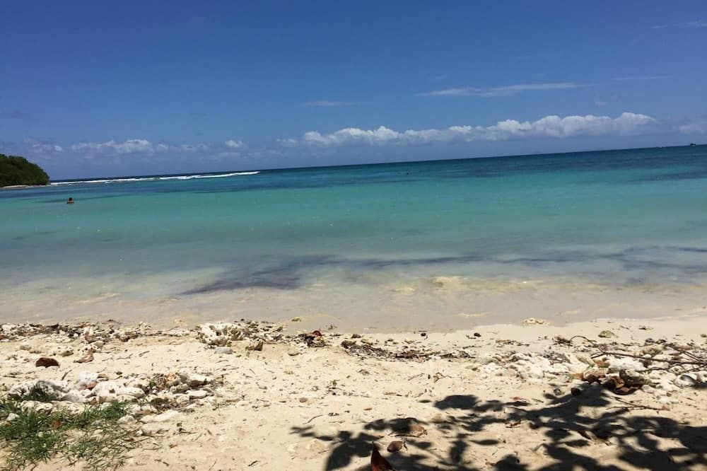 Beach Photo