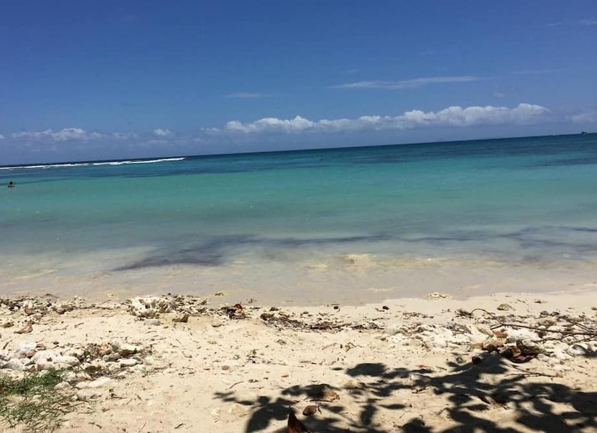 Beach Photo