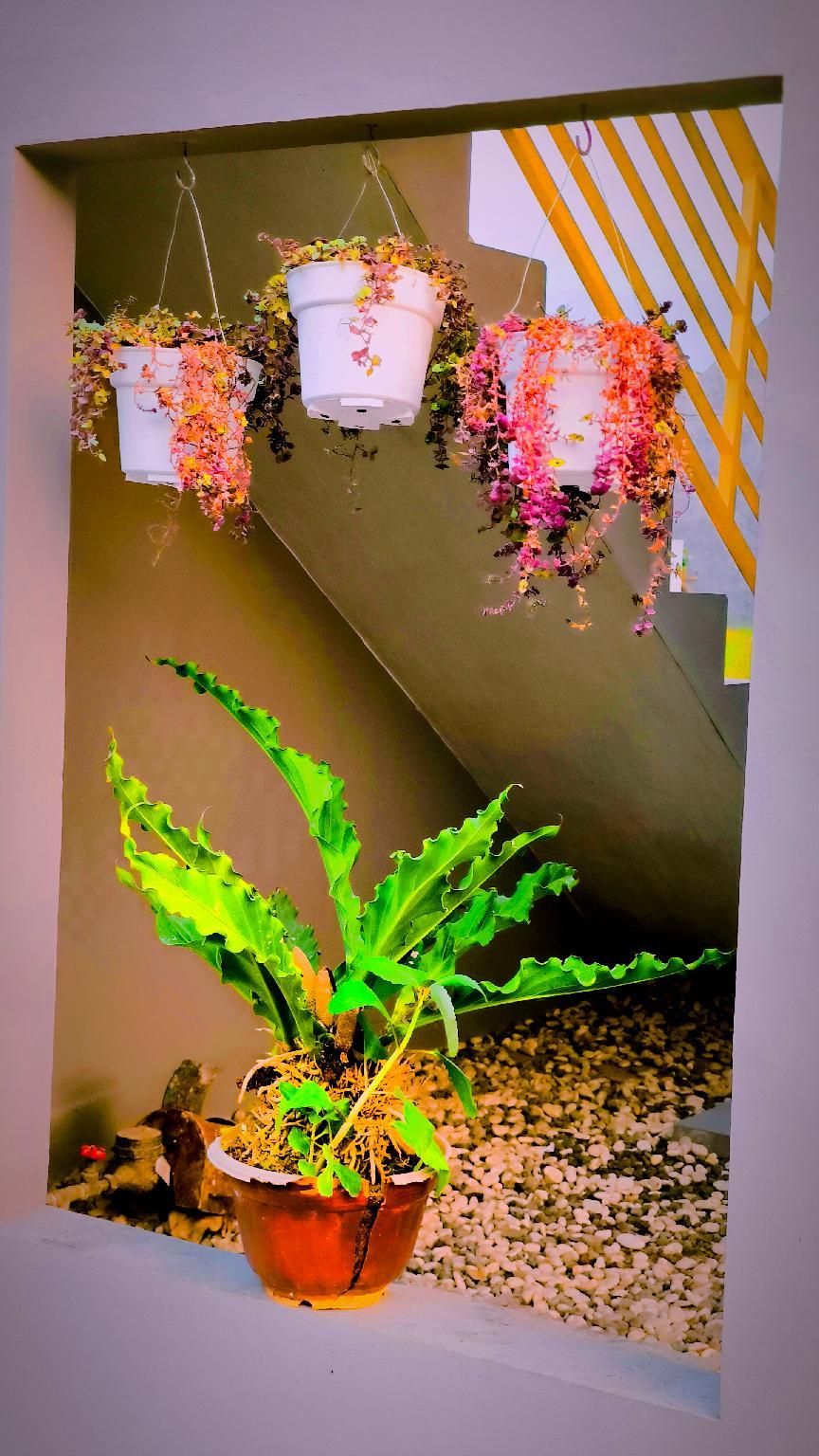 Outdoors view