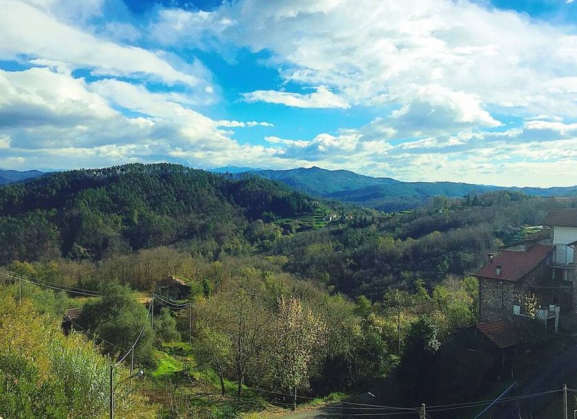 Outdoors view Photo