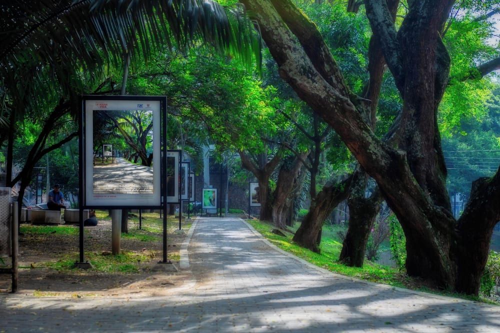 Outdoors view