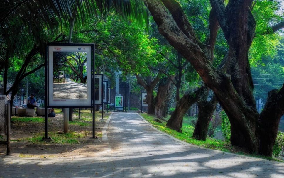Outdoors view Photo