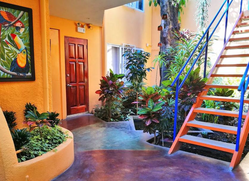 Stairs Photo