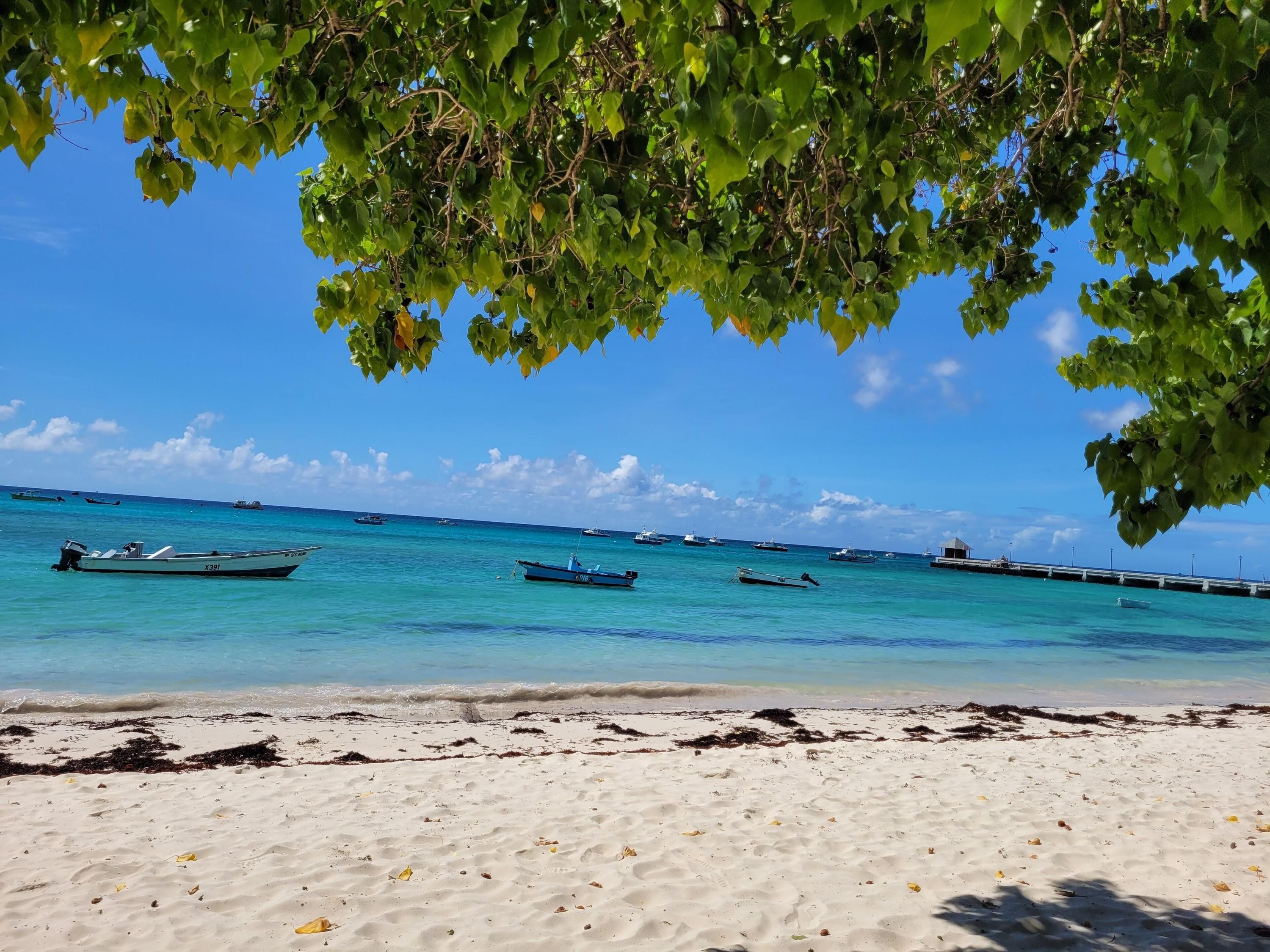 Beach Photo