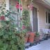 Outdoors view