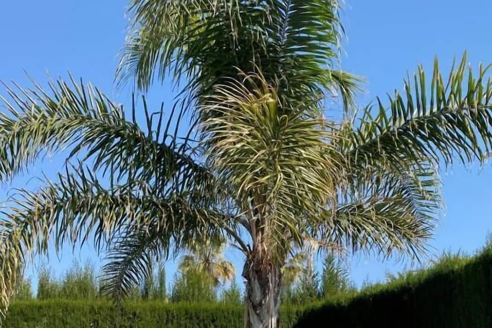 Outdoors view