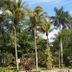 Outdoors view