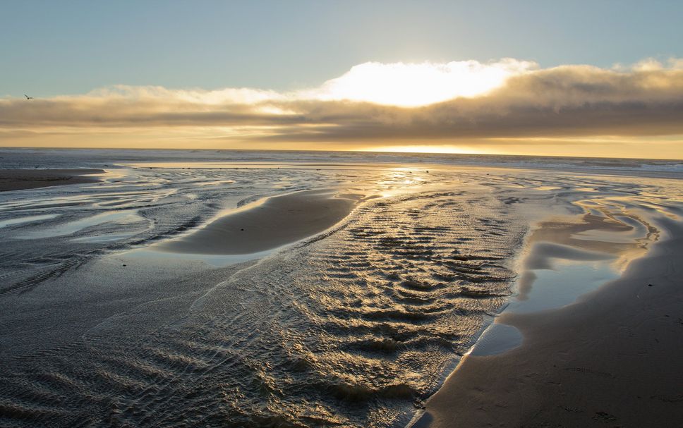 Beach Photo