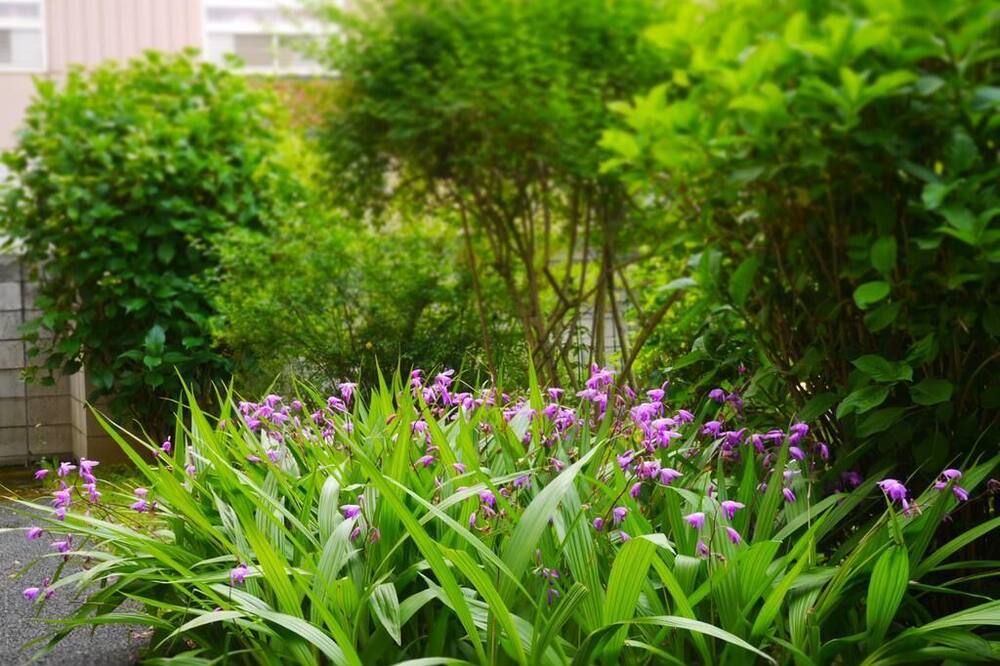 Outdoors view