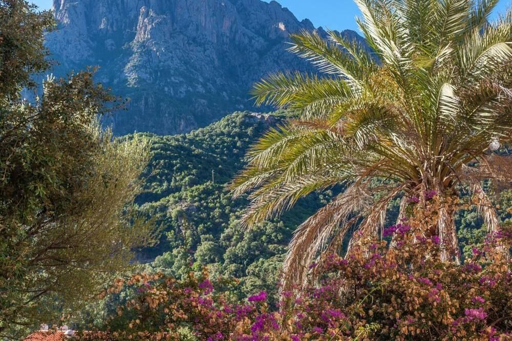 Outdoors view