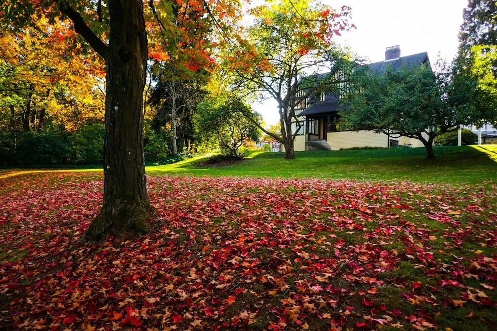 Outdoors view