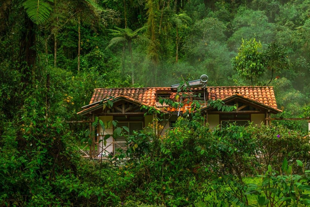 Outdoors view