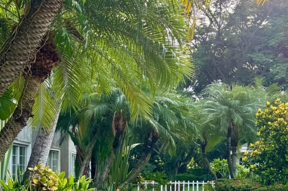 Outdoors view