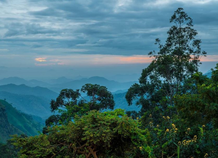 Outdoors view Photo