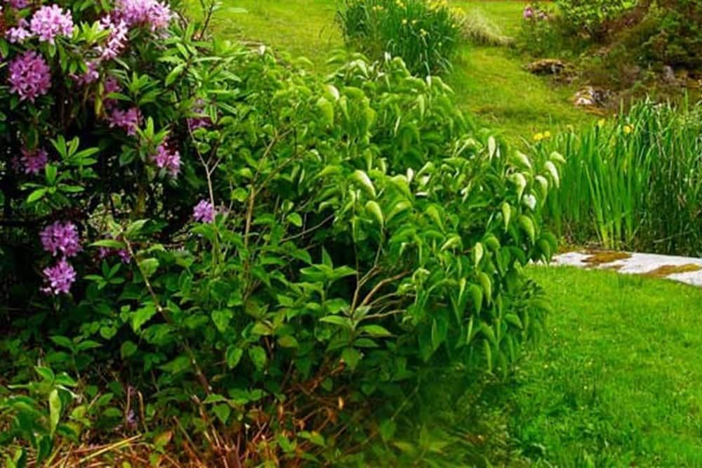 Outdoors view