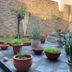 Outdoors view