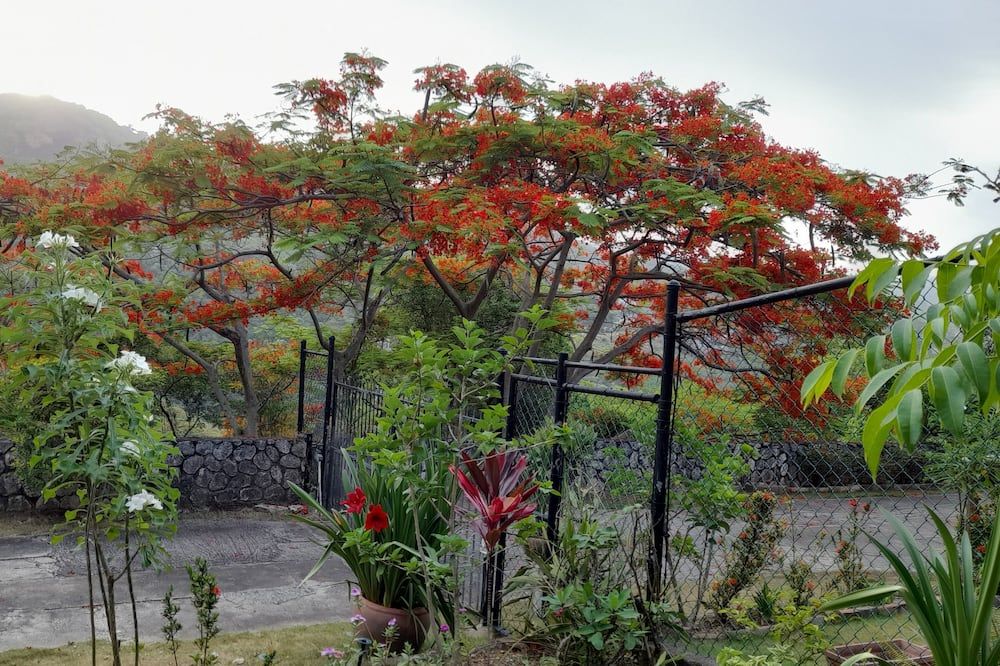 Outdoors view
