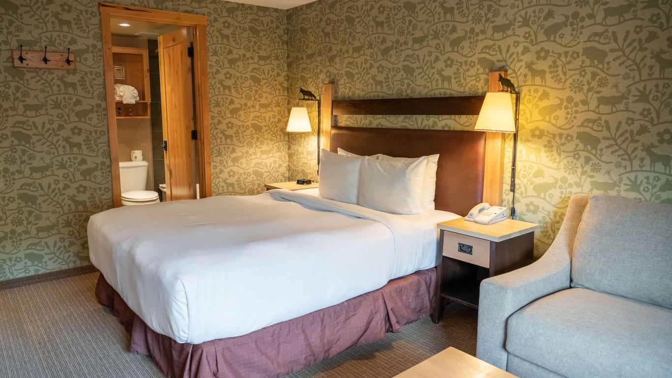 Fox Hotel And Suites