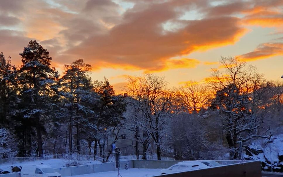 Outdoors view Photo