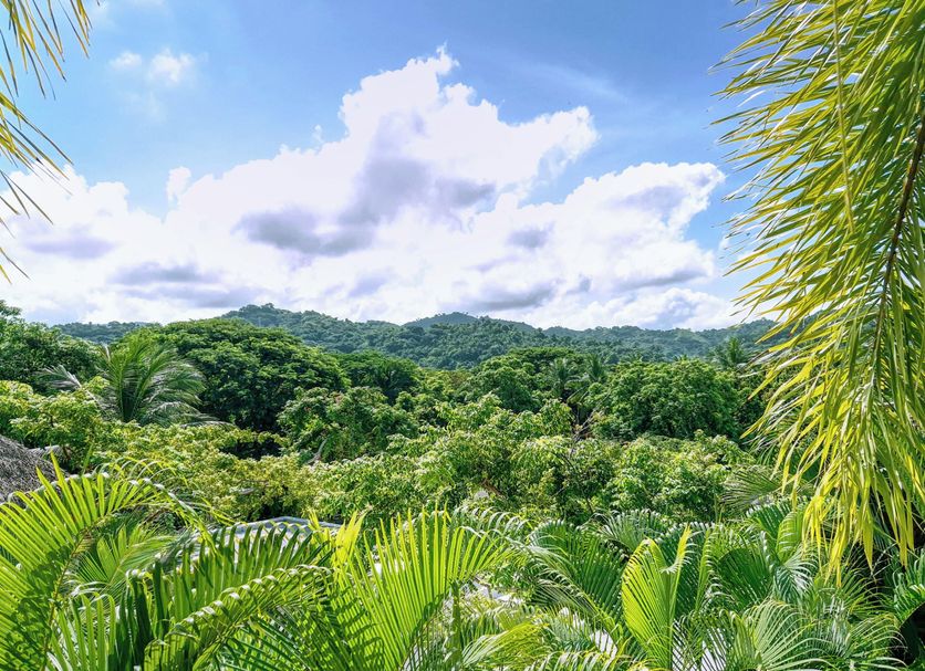 Outdoors view Photo