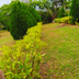 Outdoors view