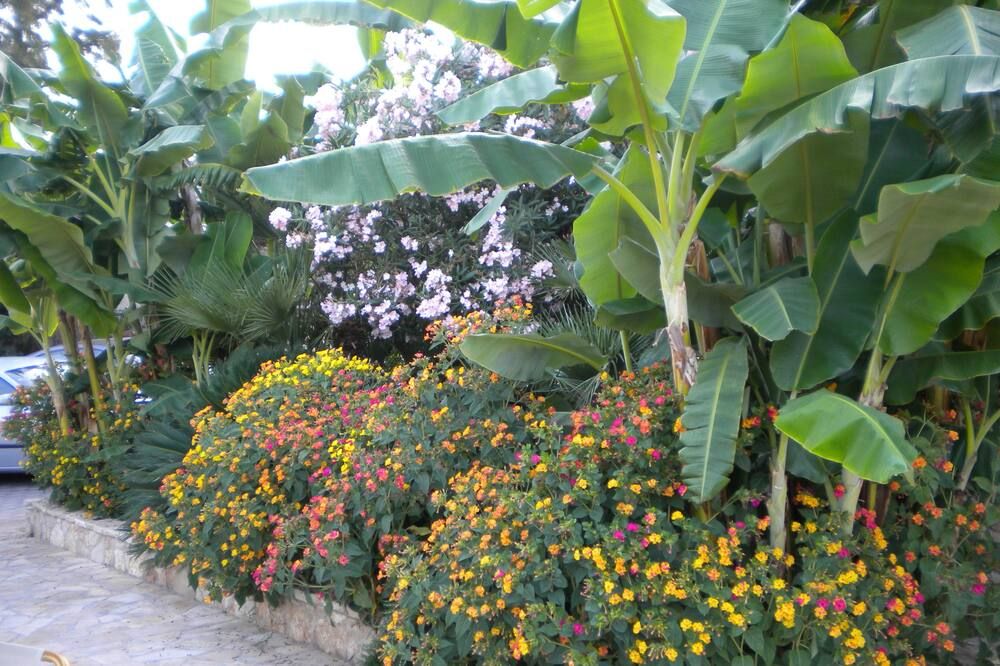 Outdoors view