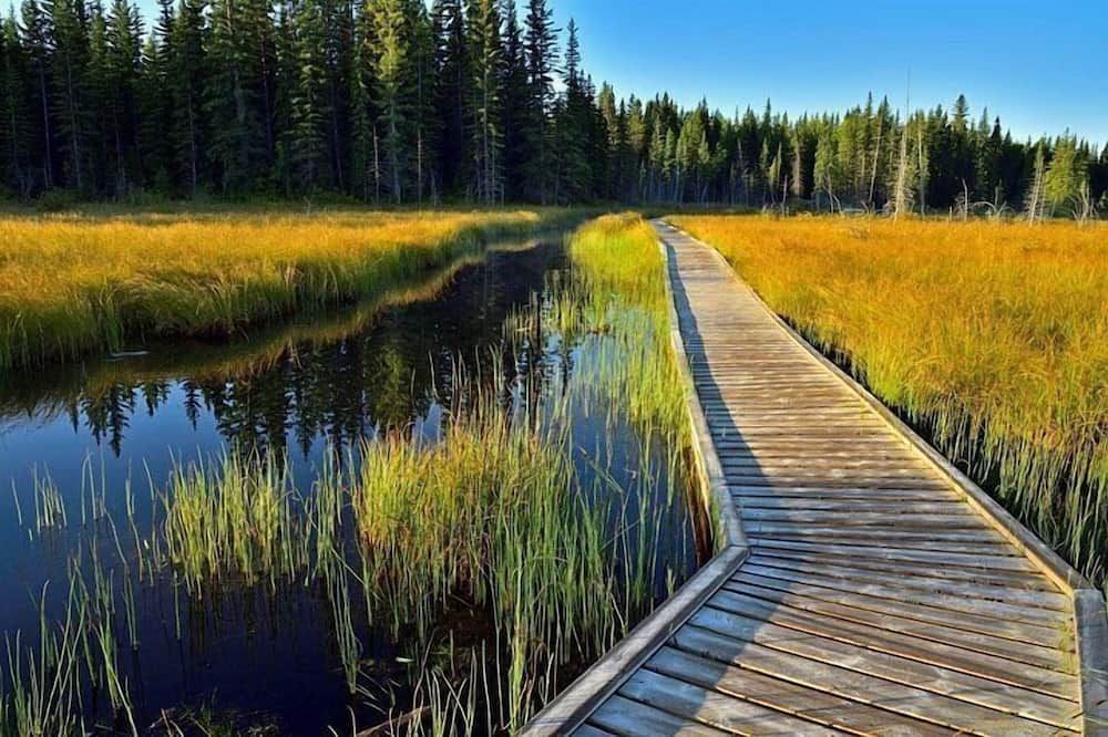 Outdoors view