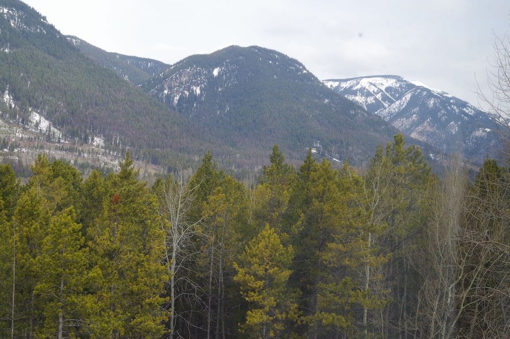 Outdoors view