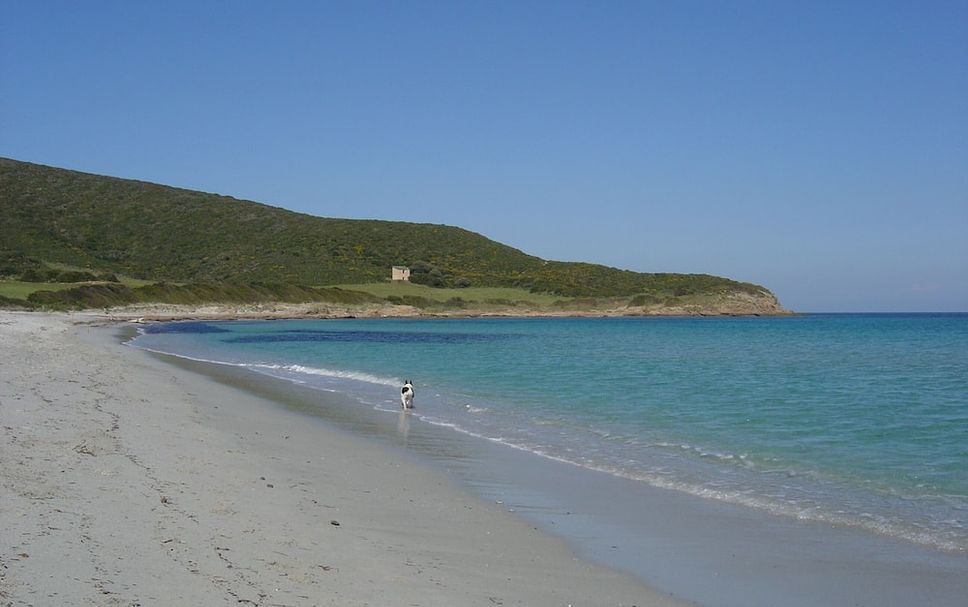 Beach Photo