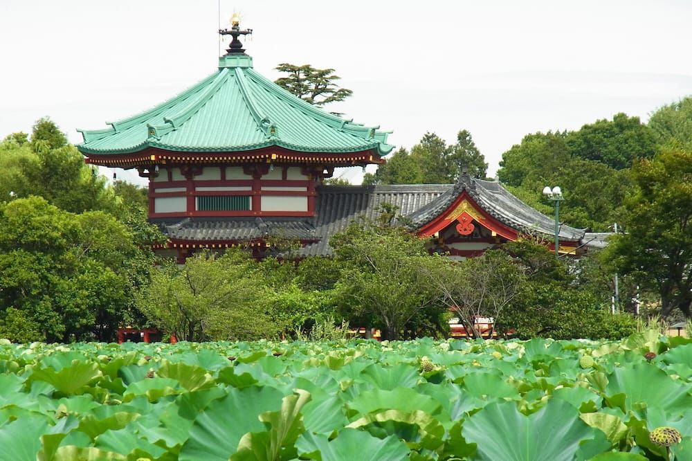 Outdoors view
