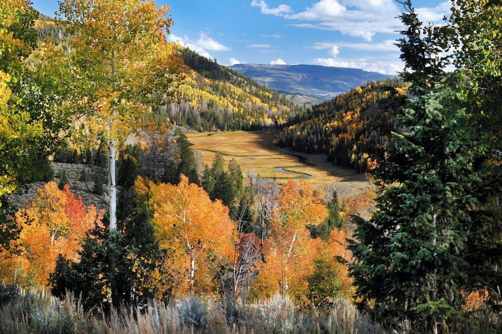 Outdoors view
