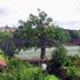 Outdoors view
