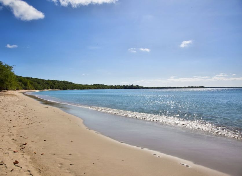 Beach Photo
