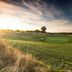 Golf course